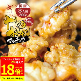 ＼お買物マラソンエントリーで最大P18倍／＋＼最大500円OFFクーポン発行中／ 国産 牛 極上 中トロ ホルモン ( マルチョウ ) ( 300g 500g 700g 選べる 内容量 ) 附属タレ付き もつ鍋 冷蔵 中元 お祝い