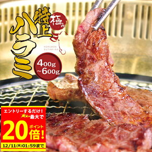 _Gg[ŕK炦P10{^{_ő500~OFFN[|s^ ɂ  n~ 400g 3`4lO y Zbgw   z ① z o[xL[ ē z zĂ 