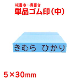 【お名前スタンプ】単品ゴム印5×30mm角（中/プラスチック板）【おなまえスタンプ 小学生 保育園 保育所 入園 スタンプ ハンコ はんこ 判子 ネーム プレゼント お祝い キッズ 赤ちゃん 幼児 ベビー 入学 こども お名前はんこ】