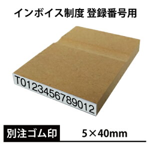 yC{CXx o^ԍpzI[_[ S p^ ̂ז 5×40mm ʒi |Xg 