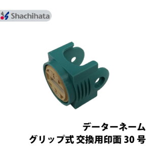 yʂ̂݁zV`n^ XX^p[ f[^[l[ 30 Obv ʒi V`n^ a 30mm |Xg 