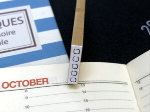 スタンプ ほぼ日手帳の人気商品 通販 価格比較 価格 Com