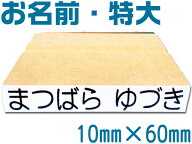 育児スタンプ お名前スタンプ おむつスタンプ 単品 特大 ネーム スタンプ オーダー オリジナルスタンプ …