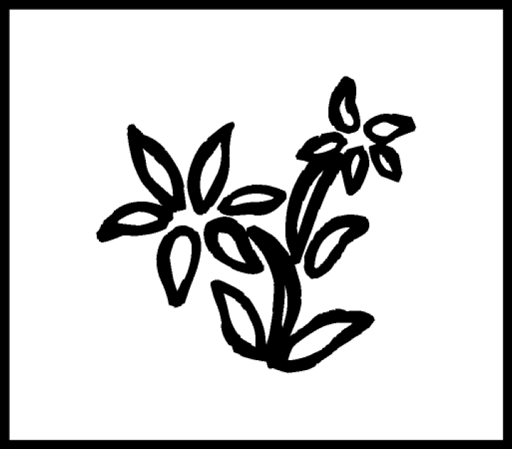 楽天市場 ネコポス発送ok 植物スタンプ 花 Stamp Loveースタンプラブー