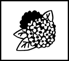 楽天市場 紫陽花スタンプの通販