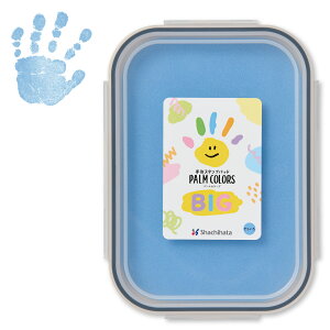 PALM COLORS p[J[Y BIG t@[XgA[g First Art `X^vpbh `X^v X^vpbh ` Ă `  A Mtg `E`X^v Ԃ CN 