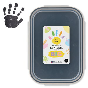 PALM COLORS p[J[Y BIG t@[XgA[g First Art `X^vpbh `X^v X^vpbh ` Ă `  A Mtg `E`X^v Ԃ CN 