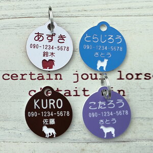 yʁzۃybgpl[v[g qD y   ybg  pqD O  l[^O hbO^O D 킢  ̎ qh~ hЃObY