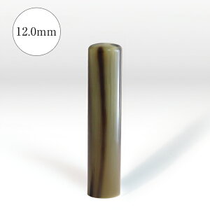 pi́jFy12.0mmz   Ј s Ј F ͂