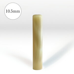 pi́jy10.5mmz   Ј s Ј F ͂