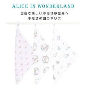【楽天ランキング1位】【日本正規品】aden+anais ウォッシュクロス 3枚セットエイデンアンドアネイ ハンドタオル Disney baby ディズニーベビー モスリン ガーゼタオル 綿 コットン 赤ちゃん 沐浴 お手拭きタオル ループ付き