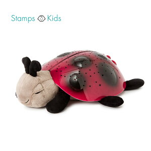 yX[p[SALE40OFFzy݌Ɍzy{KizyNHKŏЉz˂˃g[jO ʂ Q Ԃ xr[ Cloud.b NEhr[ gCCgĂƂ ˂ y  