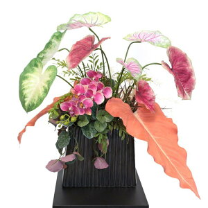 ӒƃJW[̃AWg ][g  A[eBtBVt[ MtgT[rX   JXj 蕨 bsO\ CeA v[g Mtg 