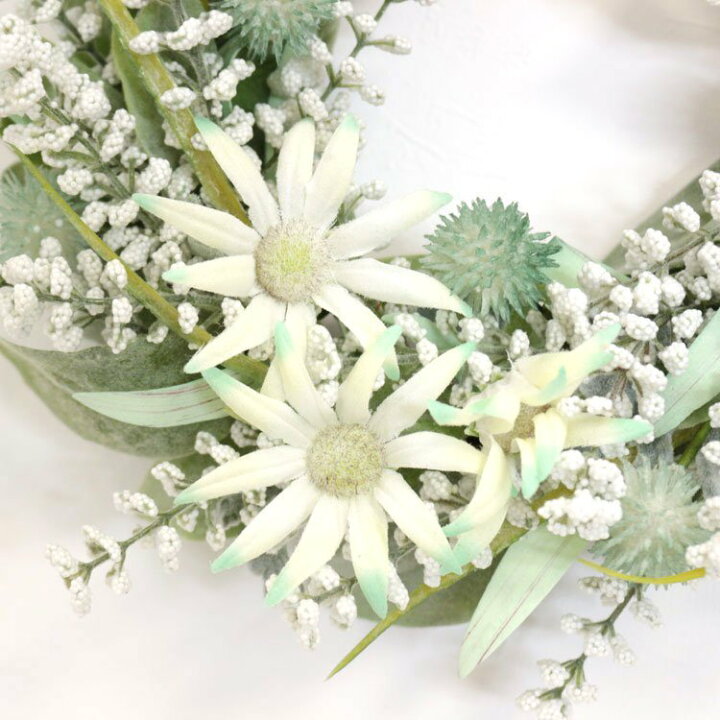 楽天市場】フランネルフラワーのハーフリース ホワイト×グリーン 造花  