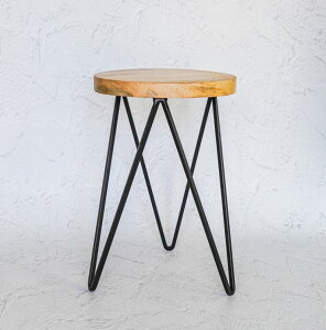 _ N[| I12/4~12/11  ^ Flower/Green stand_01 yH30 W22.5z X^h t[X^h O[X^h   ϗtA  T[NX^h ubN ACA VR