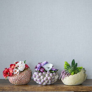 t[cAWg  Ԃǂ  ԕrAWg  A[eBtBVt[ C`S@uhE    bsO\ JXj hV̓ 