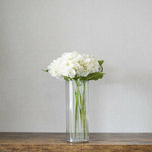 _ N[| I11/20~11/27  ^ ԕr×AWTC ԕrAWg  AWTC  A[eBtBVt[ ͂Ȃ MtgT[rX   