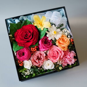 _ N[| I11/20~11/27  ^ vU[uh{bNX i`A[Y Flower BOX AWg  sN  v[g 蕨 MtgT[rX  