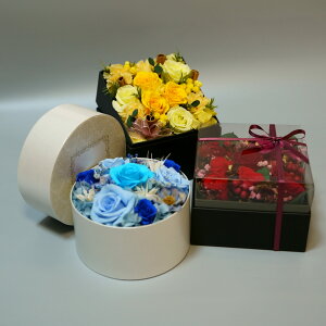 _ N[| I11/20~11/27  ^ vU[uh{bNX [Y bh CG[ u[ Flower BOX AWg  v[g 蕨 MtgT[rX   J