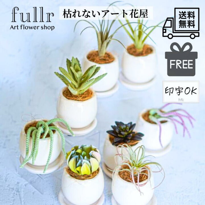 楽天市場】【選べる8種】ぽってりまあるい多肉植物とエアプランツ 