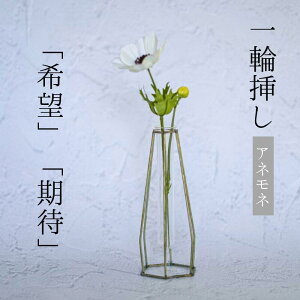 _ N[| I10/3~10/9  ^ Single Flower yAll/Whitez ֑} ԁ@zCg    A[eBtBVt[ CeA tFCNt[֑}ԕr hV̓