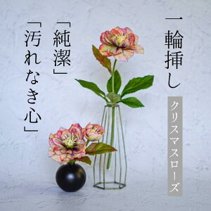 _ N[| I11/20~11/27  ^ Single Flower yNX}X[Yz ֑}  p[vO[@@΁@[Y@NX}X@~   A[eBtBVt[ CeA