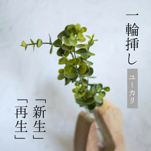 _ N[| I11/20~11/27  ^ Single Flower y[Jtz ֑} t O[@΁@ϗtA@  A[eBtBVt[ CeA tFCNt[ @