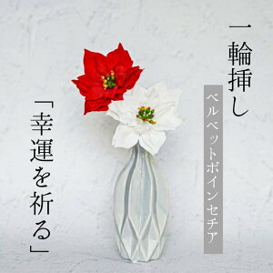 _ N[| I11/20~11/27  ^ Single Flower yxxbg|CZ`A/White/Redz ֑}    A[eBtBVt[ CeA tFCNt[ I |CZ`A