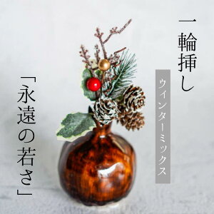 _ N[| I11/20~11/27  ^ Single Flower yEB^[~bNXz ֑}    A[eBtBVt[ CeA tFCNt[ I  ڂ N