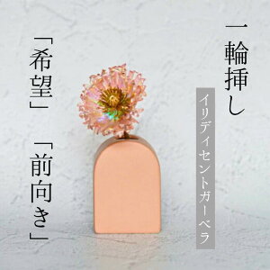 _ N[| I11/20~11/27  ^ Single Flower yCfBZgK[x/T[sNz ֑}  K[x ّf   A[eBtBVt[ CeA tFCNt