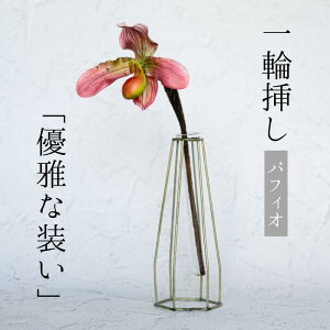 Single Flower yptBIz ֑}  sN   A[eBtBVt[ CeA tFCNt[ nEB I ֑}ԕr