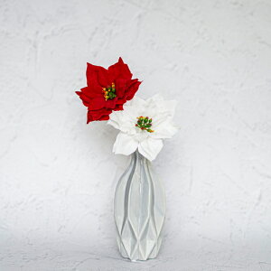 Single Flower yxxbg|CZ`A/White/Redz ֑}    A[eBtBVt[ CeA tFCNt[ I |CZ`A NX}X Xmas NX}X Ԉ