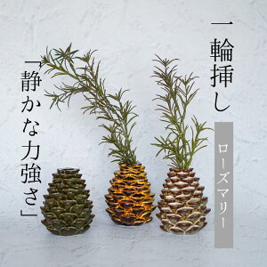 _ N[| I10/3~10/9  ^ Single Flower y[Y}[z ֑}  t t x_[  ϗtA tFCNO[  Âȗ͋   A[eBtBVt