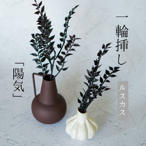 _ N[| I10/3~10/9  ^ Single Flower yXJX/blackz ֑}  t t ubN  ϗtA tFCNO[  XJX zC Ԍt   A[eBtBVt