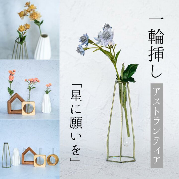 楽天市場】Single Flower 【アストランティア】 一輪挿し 花 4カラー 