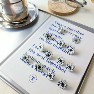 _ N[| I11/20~11/27  ^ 4// sAXp[c t[ AN sAX ANp[c ANZT[p[c sAXf nhChf PT41W