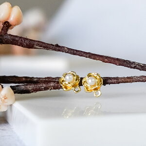 _ N[| I11/20~11/27  ^ 2// sAXp[c Jt o KN op[c sAX ANZT[p[c p[c nhChp[c nhChsAX lsAX l