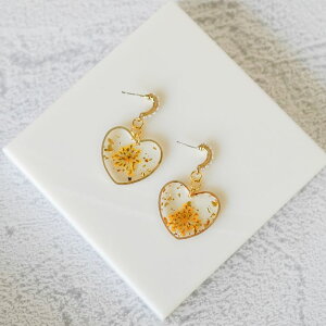 _ N[| I11/20~11/27  ^ 1yA// n[g UsAX n[g`[t h OsAX ANZT[ lC s gh  fB[X Ԃ ꂢ l 