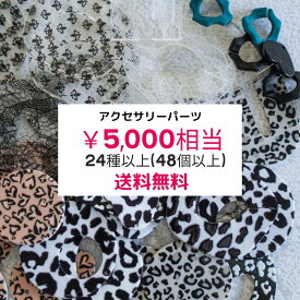 【5,000円相当】 福袋 HAPPY BAG//2025 数量限定 アクセサリーパーツ ハンドメイドパーツ パーツ アクセサリー ハンドメイド 1ペア保証 24種類以上 48個 H-01