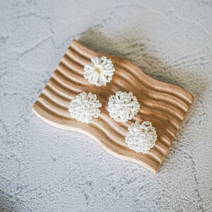 _ N[| I11/20~11/27  ^ 4// sAXp[c J{V ό` p[p[c nhChp[c nhChsAX CO d ≮ X    EF