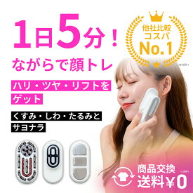 圧倒的コスパNO.1【stan公式】 EMS電気ブラシ 5段階EMS LED 頭皮ケア アタッチメント フェイスケア 多機能 自宅ケア type-C充電コード スタンド付属 電動ヘッドブラシ EMS電気ブラシ 頭皮ケアブラシ LEDヘッドケア ボディケアブラシ 3WAYブラシ マルチケアブラシ 振動