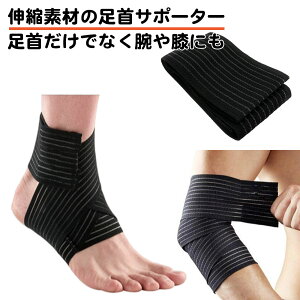  T|[^[ Ep Lk v t[TCY ʋC }WbNe[v Vv jp LbY l P ˂ X|[c   e[sO T|[^[ Œ ֐ T|[g 