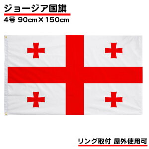 W[WA  4 150*90cm TCY Ot tbO Georgia  CeA  fg ݒu 񂹏 fg Ogp ό 傫 t 