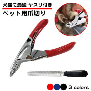 Xt ybgpܐ؂ jbp[^ M` yɂł L  ^ ^ ybg ܐ؂ lCg}[ ₷ ؂ꖡ Â ȒP 悭؂   