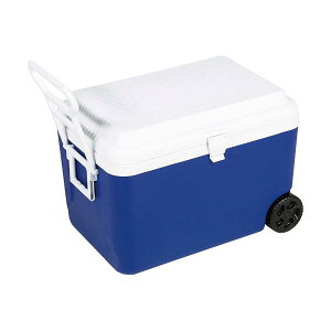 LveX^bO N[[{bNX ԗ֕t K[h zC[N[[60L M-5060 e AEghA ނ Lv W[ MǑ΍ ۗobO RR ^ Cxg sNjbN