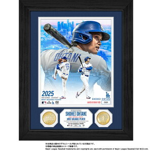 y\zMLB hW[X Jĕ 2025 NL MVP ܋LO _uRCtHg~g LOi LOObY LOACe J ObY nCh~g