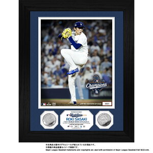 y\zMLB hW[X XؘN [hV[Y 2025 DLO _uRCtHg~g LOi LOObY LOACe X ObY nCh~g