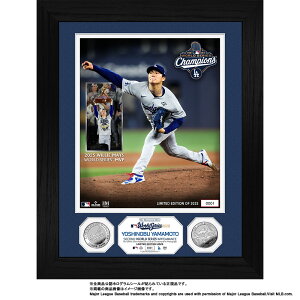 y\zMLB hW[X R{RL [hV[Y 2025 DLO _uRCtHg~g LOi LOObY LOACe R{ ObY nCh~g