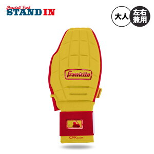 y2025fztN XCfBO~bg ۗpveN^[ J[ CFX PRT Ўp Ep 23555 ۗp XCfBOO[u یpbh Ep p l  MLB 