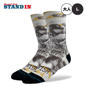 STANCE X^X _rbVL R{ N[\bNX JERSEY YU DARVISH/YU DARVISH STREAK lp 1 ˏ A556B24JER A556B24YUD  X|[c\bNX C  IV 